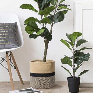 Rope plant basket 11” x 11”